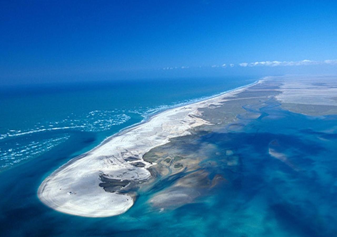 Vidanta Puerto Penasco Daire Dış mekan fotoğraf